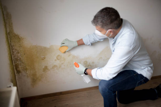 Best HVAC Mold Inspection and Cleaning  in Fitchburg, MA